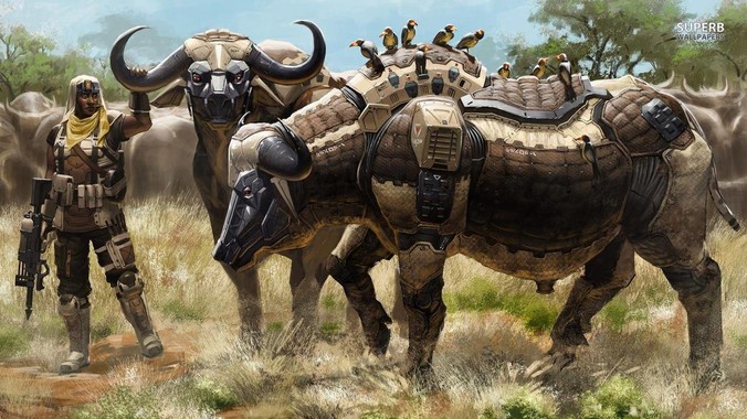 为什么有的房东喜欢把房间租给女租户?